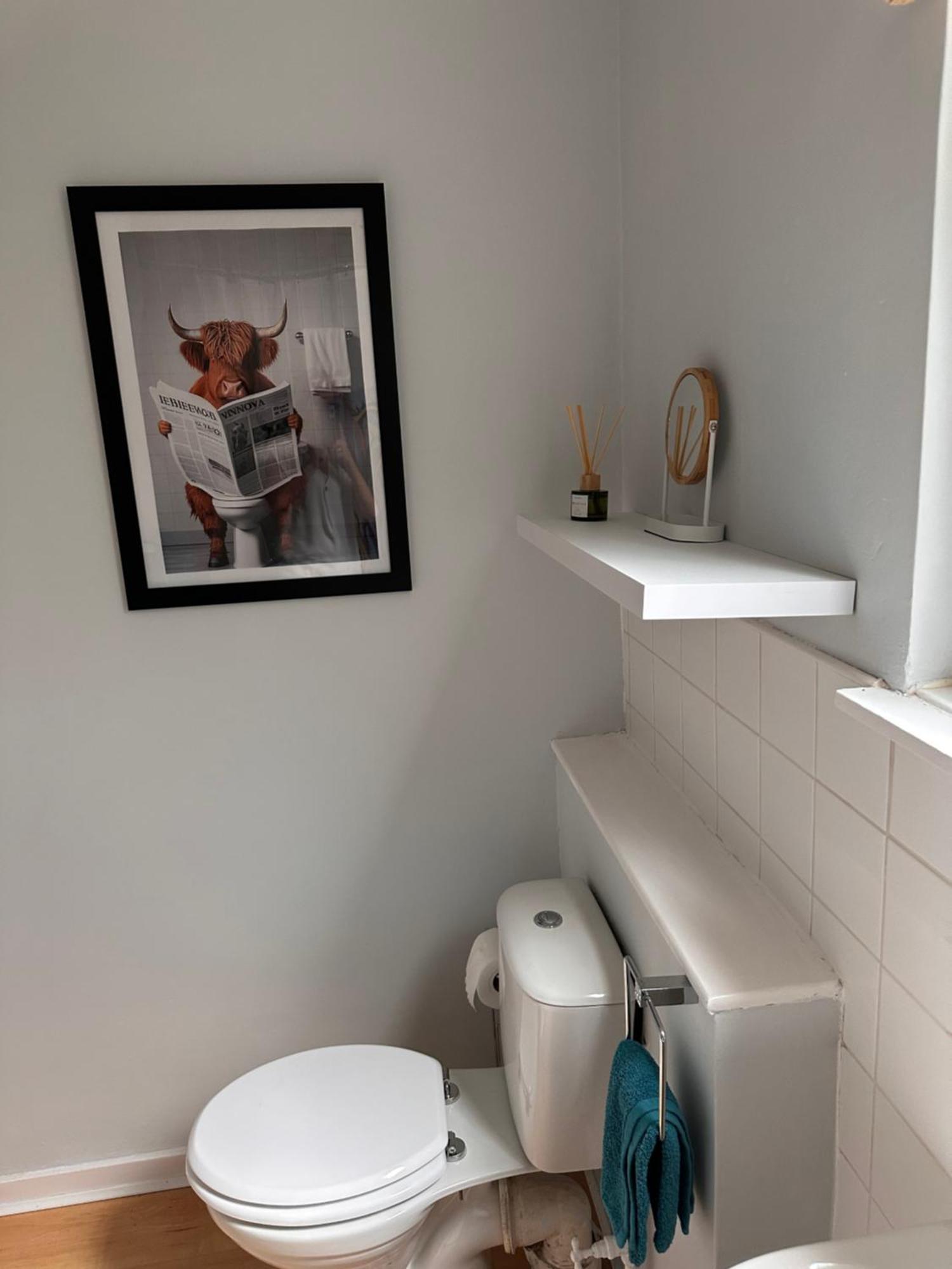 Castle Brae Apartment ستيرلينج المظهر الخارجي الصورة
